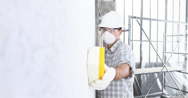 Best Asbestos and Lead Testing During Mold Inspection in New Burlington, OH