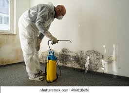 Why You Should Choose Our Mold Remediation Services in New Burlington, OH